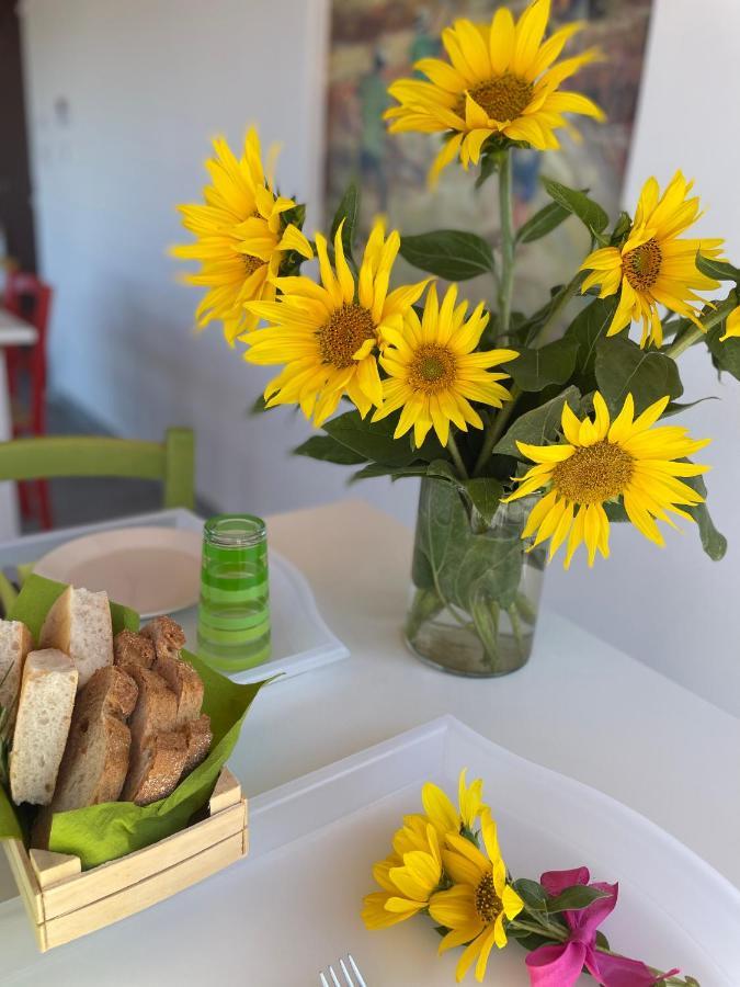 Naturaverde Country House Senigallia Zewnętrze zdjęcie