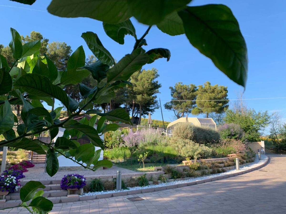 Naturaverde Country House Senigallia Zewnętrze zdjęcie