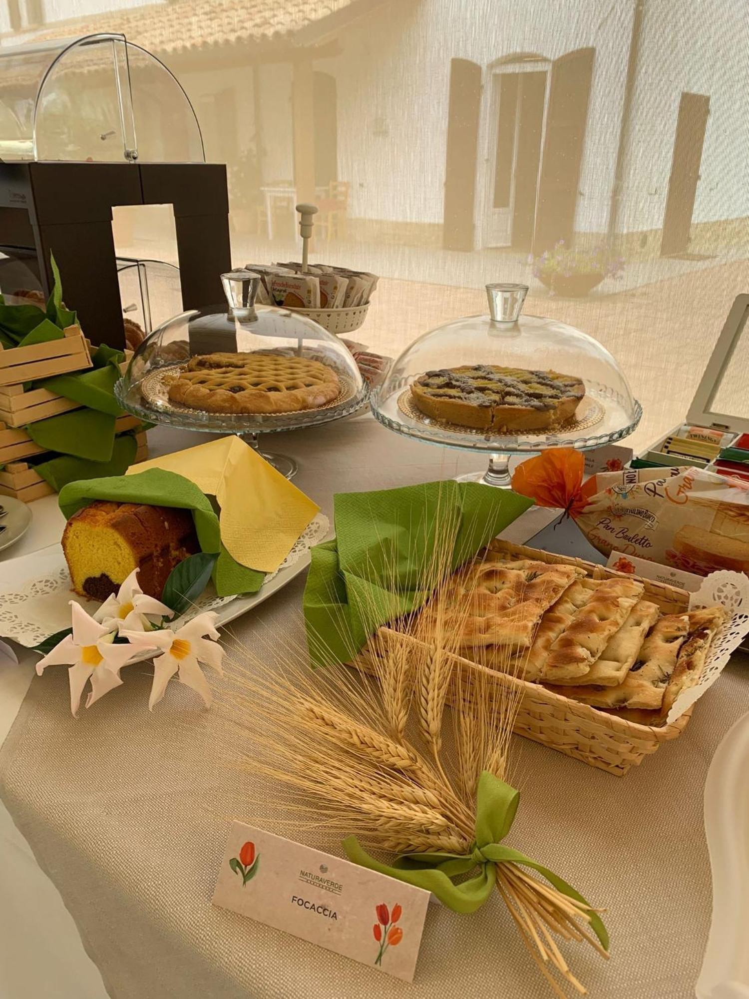 Naturaverde Country House Senigallia Zewnętrze zdjęcie
